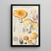 Russula constans - Hans Baldung — gerahmtes Bild an der Wand