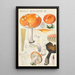 Russula decolorans Fr - Hans Baldung — gerahmtes Bild an der Wand