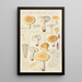 Russula fellea - Hans Baldung — gerahmtes Bild an der Wand