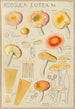Russula lutea - Hans Baldung — Ansicht des Kunstwerks