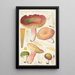 Russula olivacea schff - Hans Baldung — gerahmtes Bild an der Wand