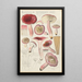 Russula rosacea - Hans Baldung — gerahmtes Bild an der Wand