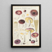 Russula turci - Hans Baldung — gerahmtes Bild an der Wand