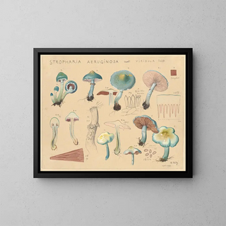 Stropharia aeruginosa var. viridula - Hans Baldung — gerahmtes Bild an der Wand