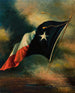 Texas-Flagge - Harco Schutter — Ansicht des Kunstwerks