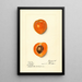 Prunus mume Sharpe - Harriet L Thompson — gerahmtes Bild an der Wand
