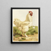 Coq Cochin blanc - Harrison Weir — gerahmtes Bild an der Wand