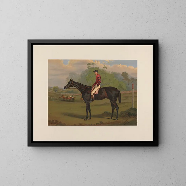 Parole, brauner Hengst - Harry Hall — gerahmtes Bild an der Wand