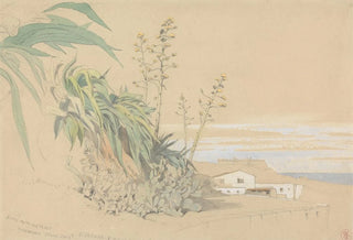 Harry John Johnson - Aloes and Prickly Pears Tarragona Spain.webp