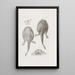 Mémoires du Musée de Zoologie Comparée de l'Université Harvard Pl22 - Musée de Zoologie Comparée de l'Université Harvard — gerahmtes Bild an der Wand