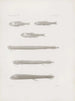 Mémoires du Musée de zoologie comparée du Harvard College Pl56 - Musée de Zoologie Comparée de l'Université Harvard — Ansicht des Kunstwerks