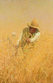 Ernte des Weizens - Harvey T. Dunn — Ansicht des Kunstwerks