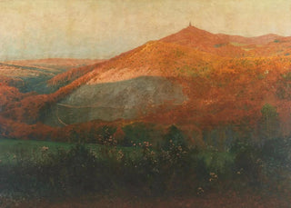 Heinrich Tomec - Hermannskogel with View of the Habsburgwarte.webp