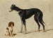 Ein Cavalier King Charles Spaniel sitzend und ein Galgo stehend - Hendrik Stokvisch — Ansicht des Kunstwerks