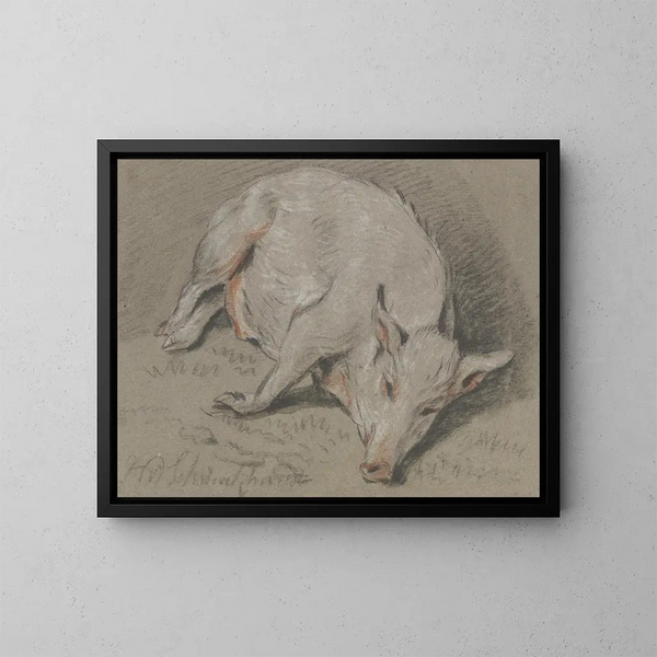 Schweine liegend - Hendrik Willem Schweickhardt — gerahmtes Bild an der Wand