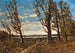 Landschaft bei Windstoß - Henri-Joseph Harpignies — Ansicht des Kunstwerks