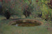 Marquayrol le bassin aux thuyas - Henri Martin — Ansicht des Kunstwerks
