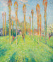 Sonniges Prairie mit Pappeln - Henri Martin — Ansicht des Kunstwerks