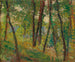 Unterholz - Henri Martin — Ansicht des Kunstwerks