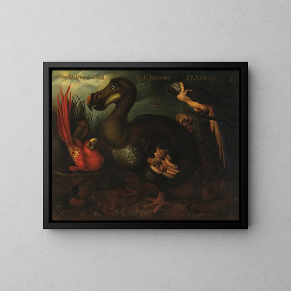 Le Dodo et Given - Henrik Grönvold — gerahmtes Bild an der Wand