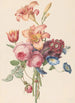 Blumenstrauß - Henriette Geertruida Knip — Ansicht des Kunstwerks
