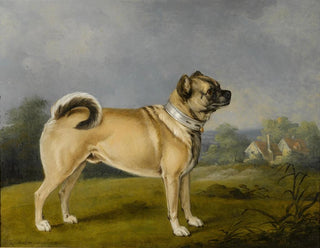 Henry Bernard Chalon - A Favorite Pug.webp