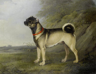 Henry Bernard Chalon - A Favourite Pug Bitch.webp