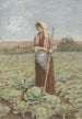 Feld der Kohlköpfe - Henry Green — Ansicht des Kunstwerks