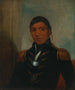 Chippewa von Big Buffalo - Henry Inman — Ansicht des Kunstwerks