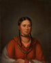 Hayne Hudjihini Aigle des délices - Henry Inman — Ansicht des Kunstwerks