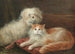 Studie eines Kaninchenbaus und einer Katze - Henry Maurice Page — Ansicht des Kunstwerks