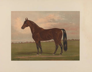 Henry Stull - Almont.webp