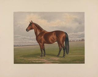 Harold - Henry Stull — Ansicht des Kunstwerks