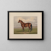 Harold - Henry Stull — gerahmtes Bild an der Wand
