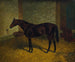 Hastings in einer Stallung - Henry Stull — Ansicht des Kunstwerks
