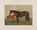 Nevada - Henry Stull — Ansicht des Kunstwerks