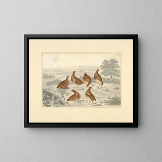 Henry Thomas Alken - Partridges in a field.webp