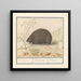 Igel Erinaceus europaeus Everswijn - Anselmus Botius de Boodt — gerahmtes Bild an der Wand