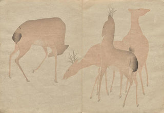 Hochu Nakamura - The Krin Picture Book Pl06.webp