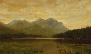 Homer Dodge Martin - Upper Ausable Lake.webp
