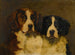 Studie von zwei Saint-Bernard - Hugh George Shaw — Ansicht des Kunstwerks