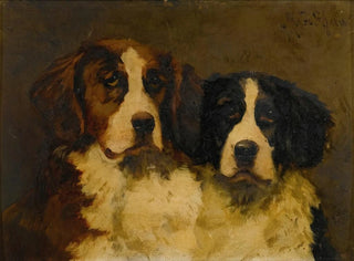 Studie von zwei Saint-Bernard - Hugh George Shaw — Ansicht des Kunstwerks