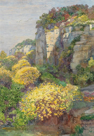 Hugo Charlemont - Broom in bloom on Brioni.webp