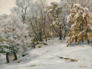 Hugo Darnaut - A Winters Day.webp