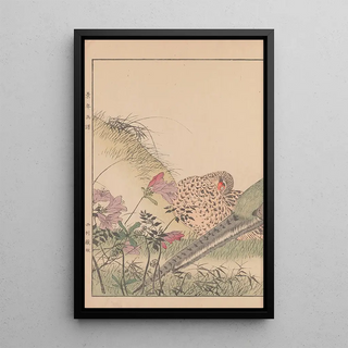 Imao Keinen - Keinen kach gafu Pl071.webp