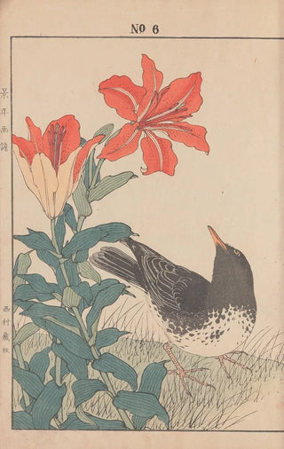 Imao Keinen - Keinen kach gafu Pl089.webp