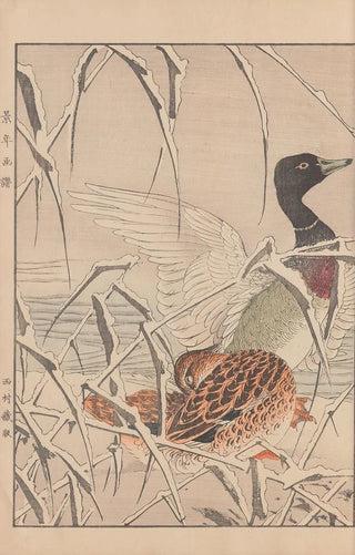 Imao Keinen - Keinen kach gafu Pl153.webp