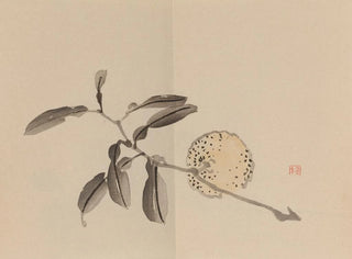 Keinen shugajō Pl09 - Imao Keinen — Ansicht des Kunstwerks