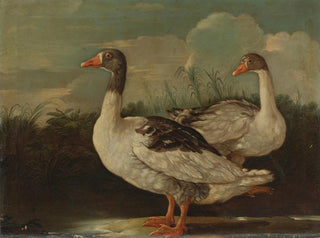 Italian School - Two Proud Geese.webp