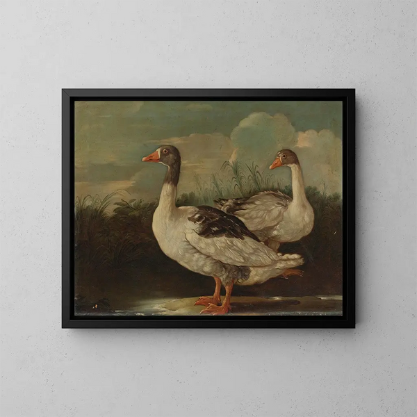 Zwei stolze Gänse - Italienische Schule — gerahmtes Bild an der Wand